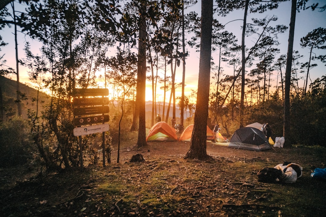 Pico Duarte: trekking no topo dos Caraíbas - Pico Duarte | Secret World Trip Planner
