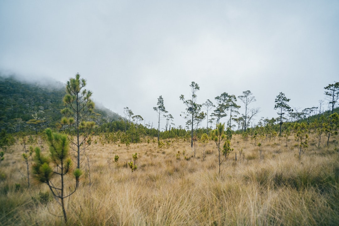 Pico Duarte: trekking no topo dos Caraíbas - Pico Duarte | Secret World Trip Planner