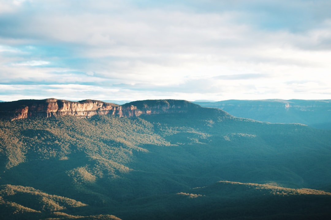 Blue Mountains Jamaica: Trekking Through Forests & Coffee - Blue Mountains | Secret World Trip Planner
