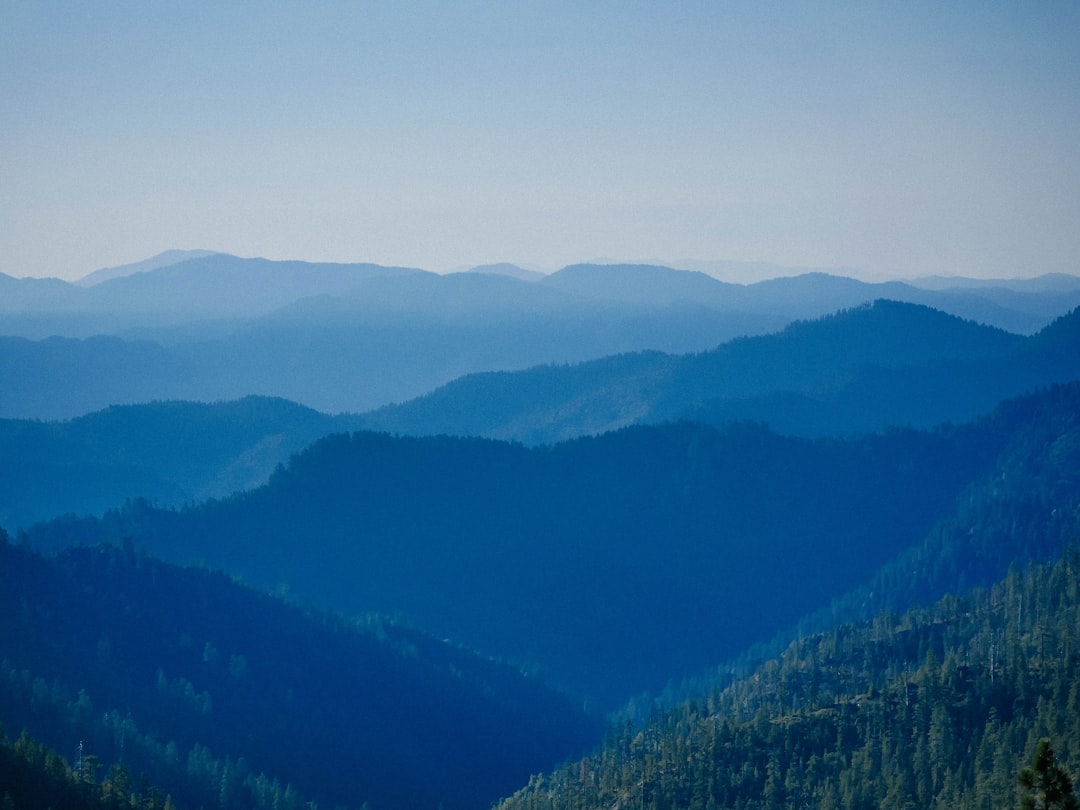Montagnes Bleues Jamaïque : randonnée entre forêts et cafés - Blue Mountains | Secret World Trip Planner