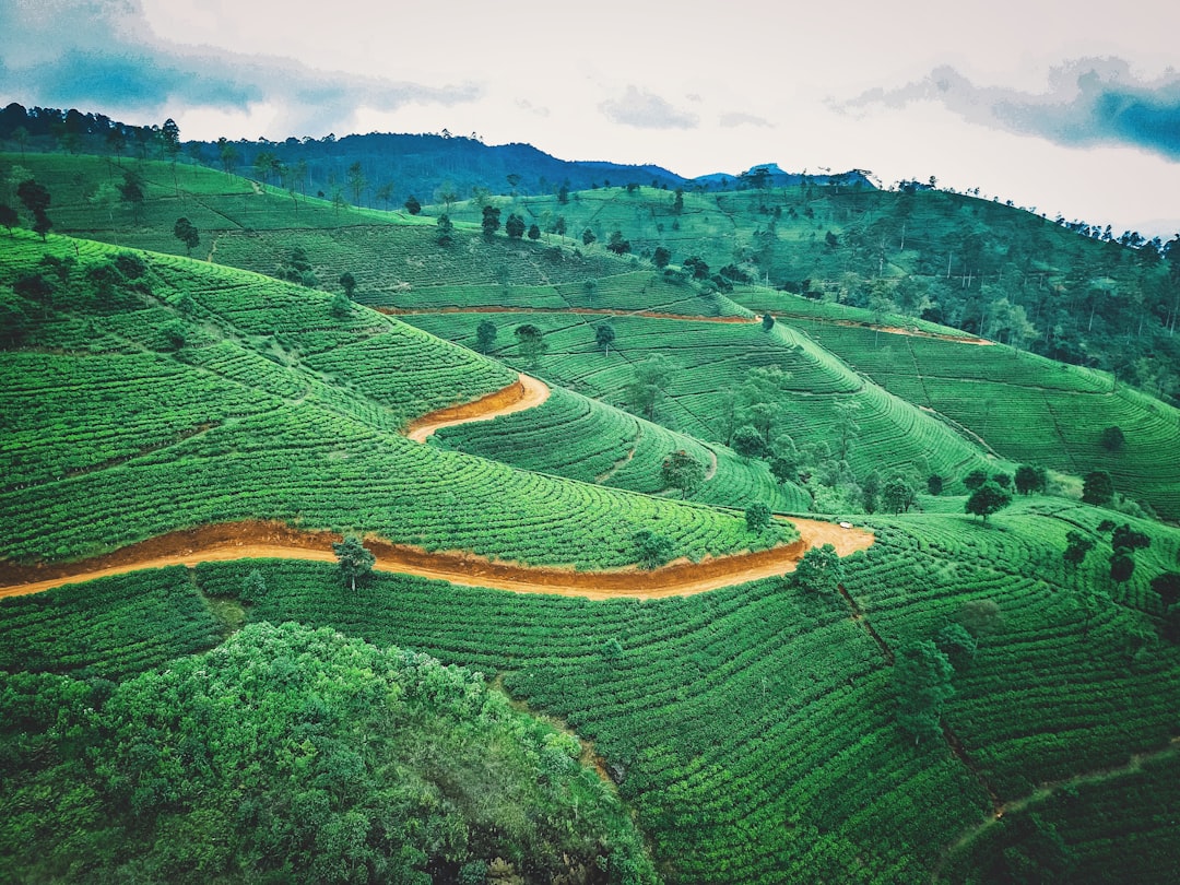 Pidurutalagala: la vetta più alta dello Sri Lanka - Nuwara Eliya | Secret World Trip Planner