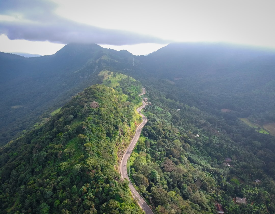 Thotupola Kanda : Un Paradis Naturel au Cœur du Sri Lanka - Pattipola | Secret World Trip Planner