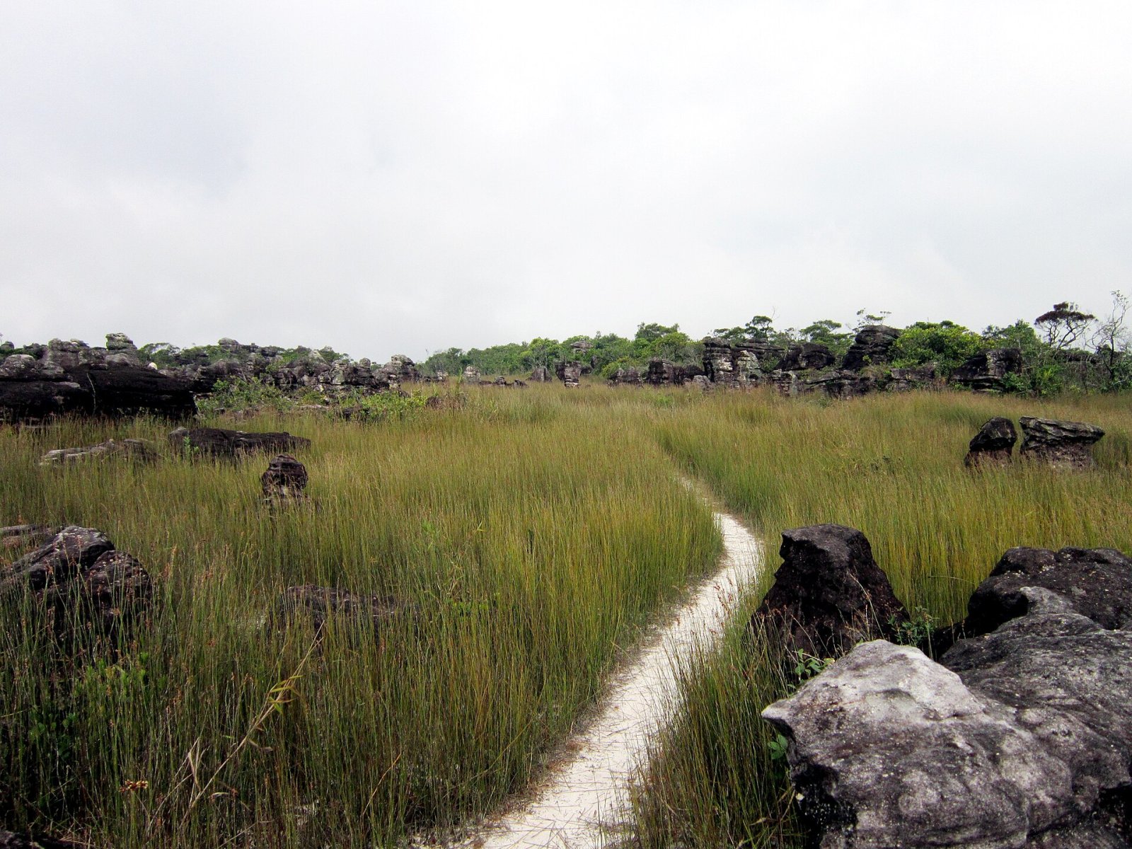 Discover the Magic of Phnom Bokor: A Natural Paradise in Cambodia - Changhaon | Secret World Trip Planner