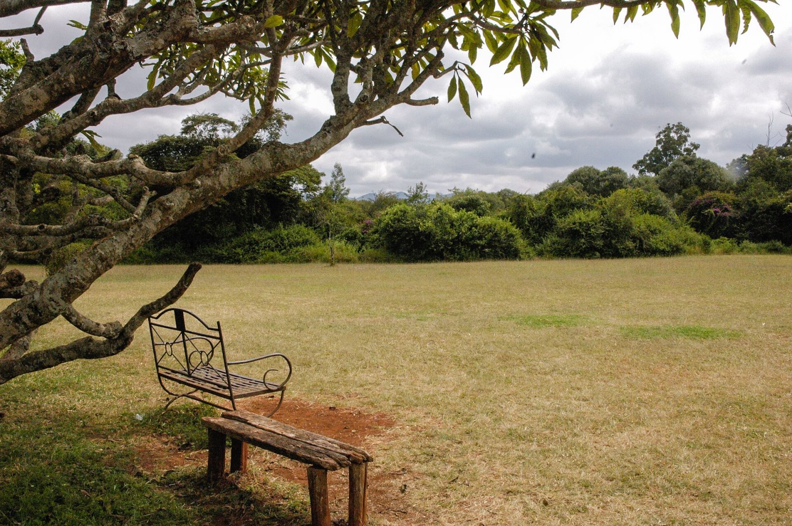 Descubra Bench, o refúgio de tranquilidade no coração do Quênia - Nairobi | Secret World Trip Planner