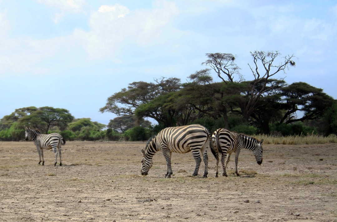 Descubre el Ecuador en Kenia: un viaje único entre experiencias y naturaleza | Secret World Trip Planner