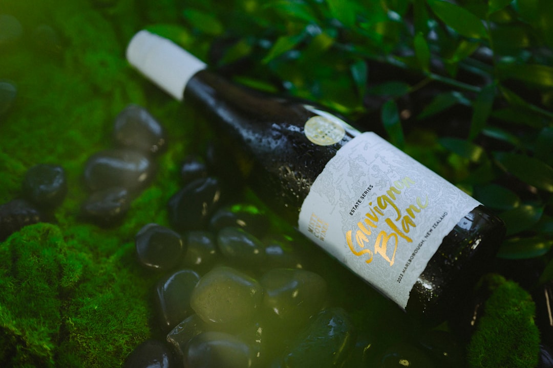 Marlborough Wine Tours: Cycling Through Blenheim Vineyards - Springlands | Secret World Trip Planner
