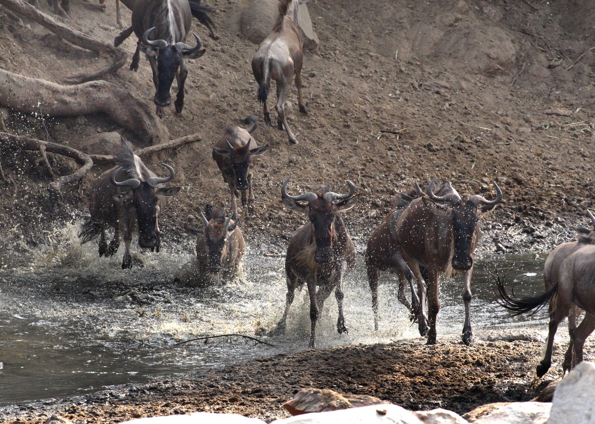 Tramonto sul Cratere Ngorongoro: il bordo del mondo | Secret World Trip Planner