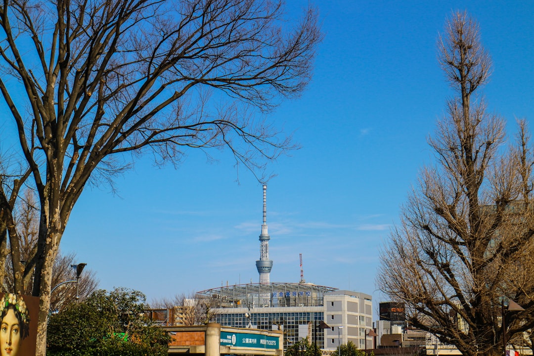 Museo Nazionale di Tokyo: guida alle collezioni - Taito City | Secret World Trip Planner