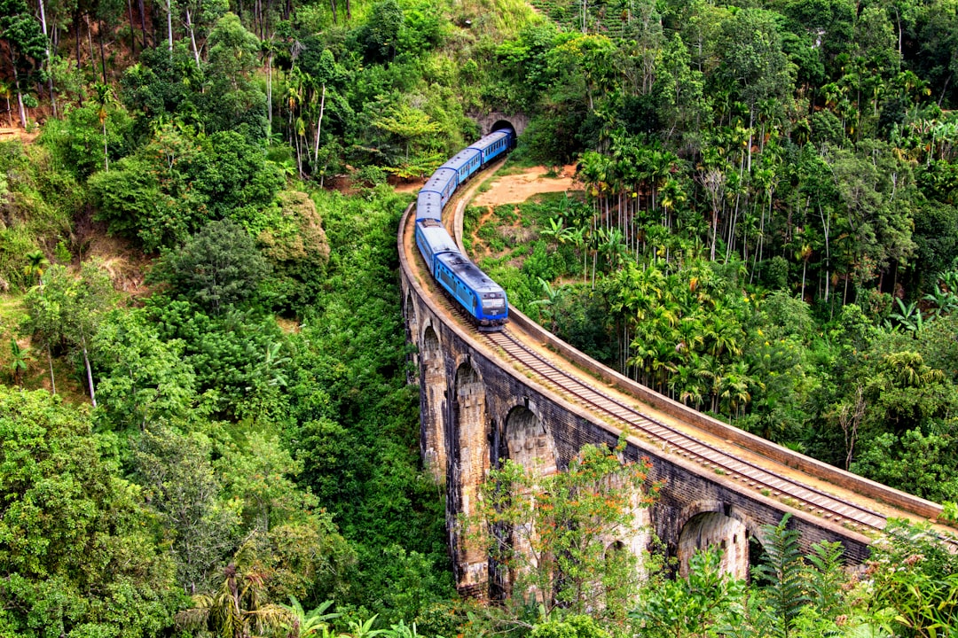 Кикилиямана: уголок нетронутой природы в Шри-Ланке - Nuwara Eliya | Secret World Trip Planner