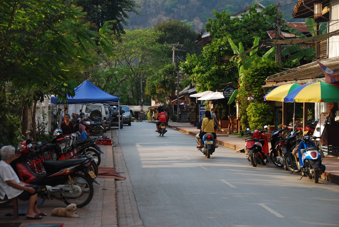 Nam Ha : randonnée dans la forêt montagneuse du Laos - Ban Nam Sing Noi | Secret World Trip Planner