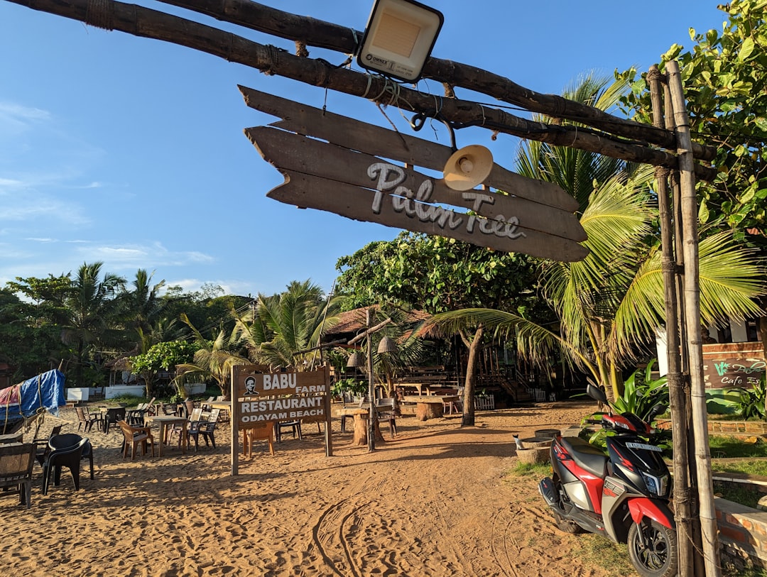 Varkala Beach: Red Cliffs and Arabian Sea Bliss - Varkala | Secret World Trip Planner