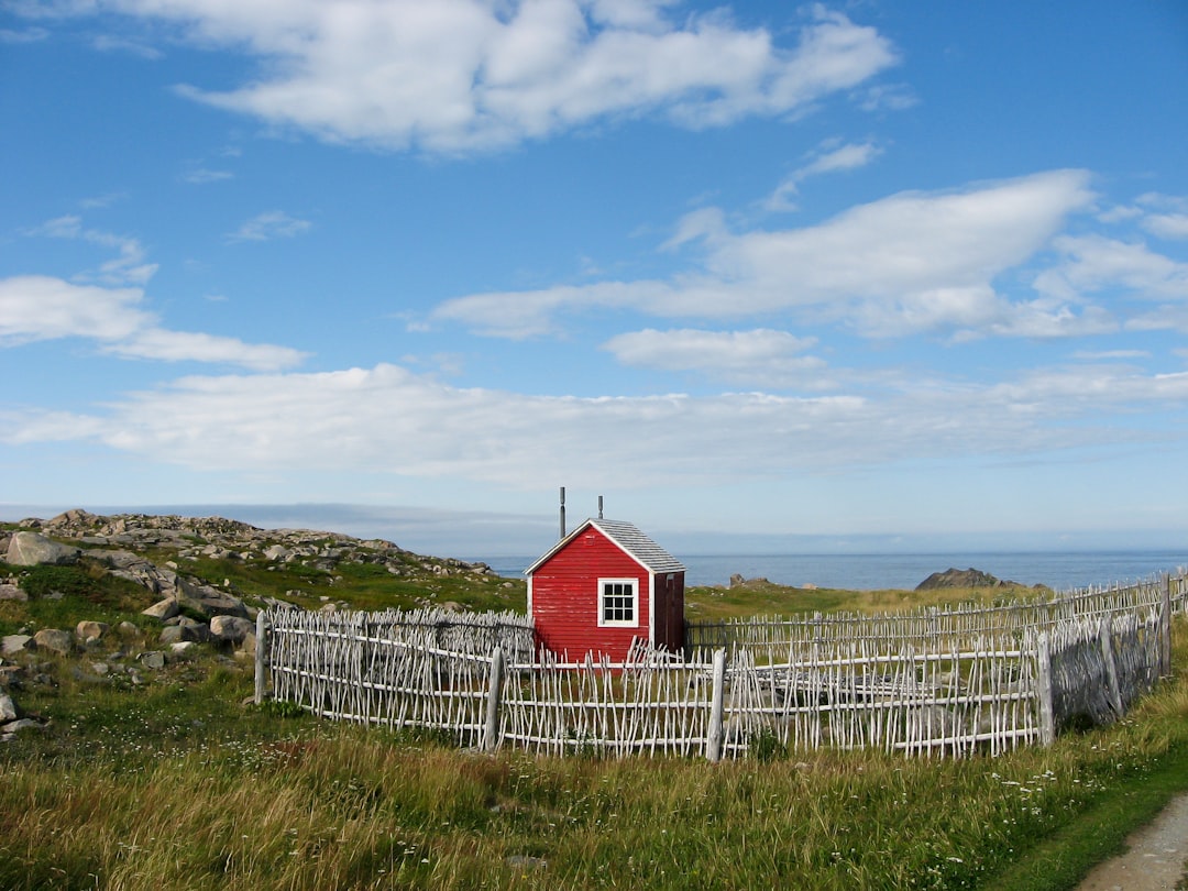 El faro de Cape Bonavista: historia y puffins en Terranova - Bonavista | Secret World Trip Planner