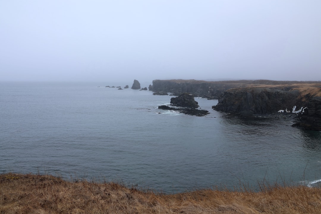 El faro de Cape Bonavista: historia y puffins en Terranova - Bonavista | Secret World Trip Planner