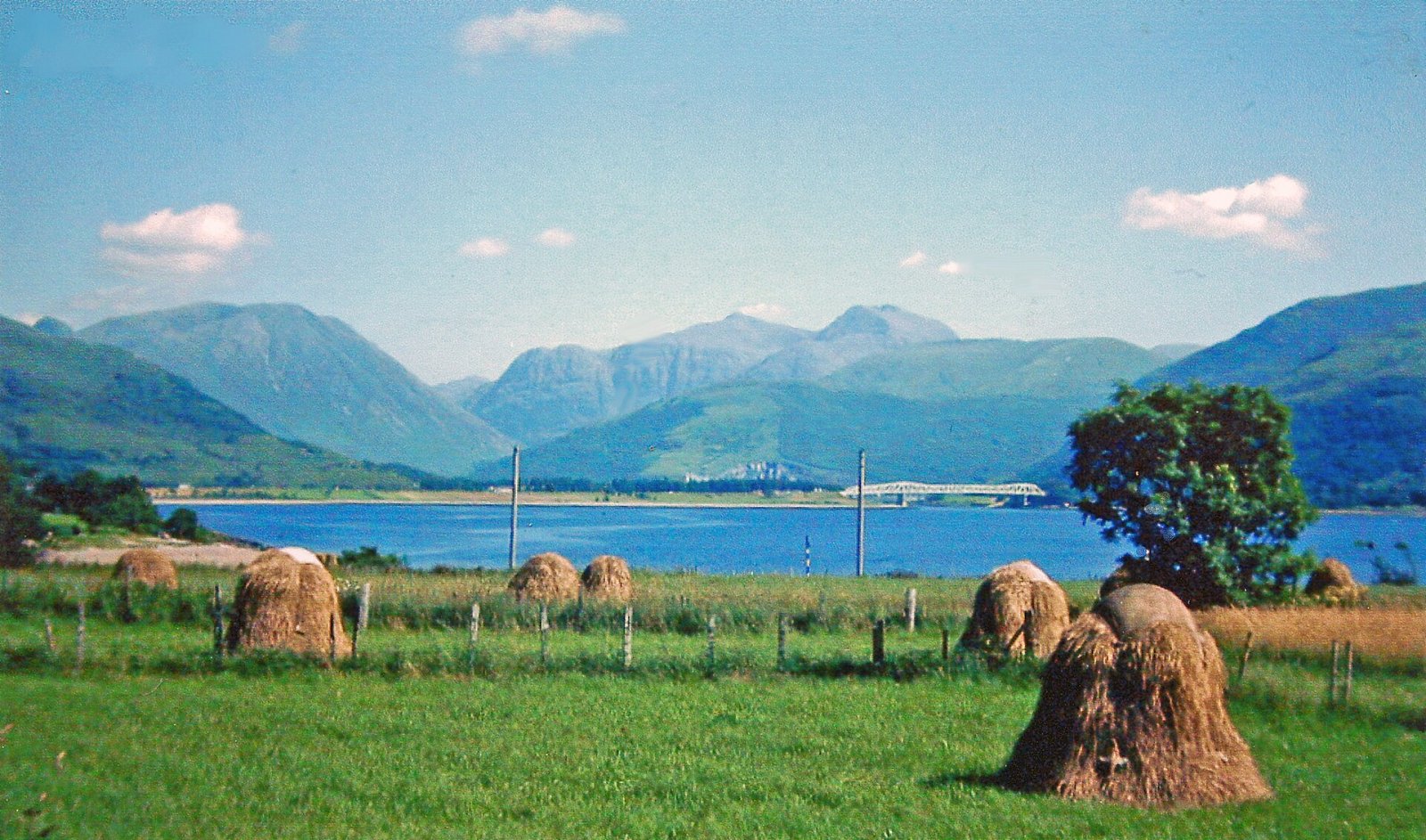 Открытие Sgor nam Fiannaidh: уголок нетронутой природы в Шотландии - MXH7+Q4 Ballachulish | Secret World Trip Planner