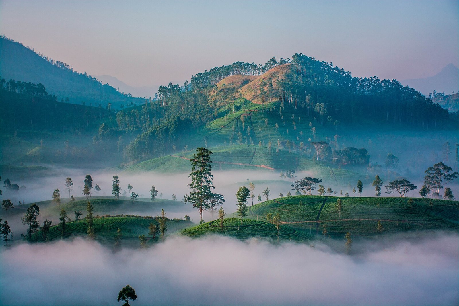 Kotagala : Un coin de nature préservée au Sri Lanka - Hatton | Secret World Trip Planner
