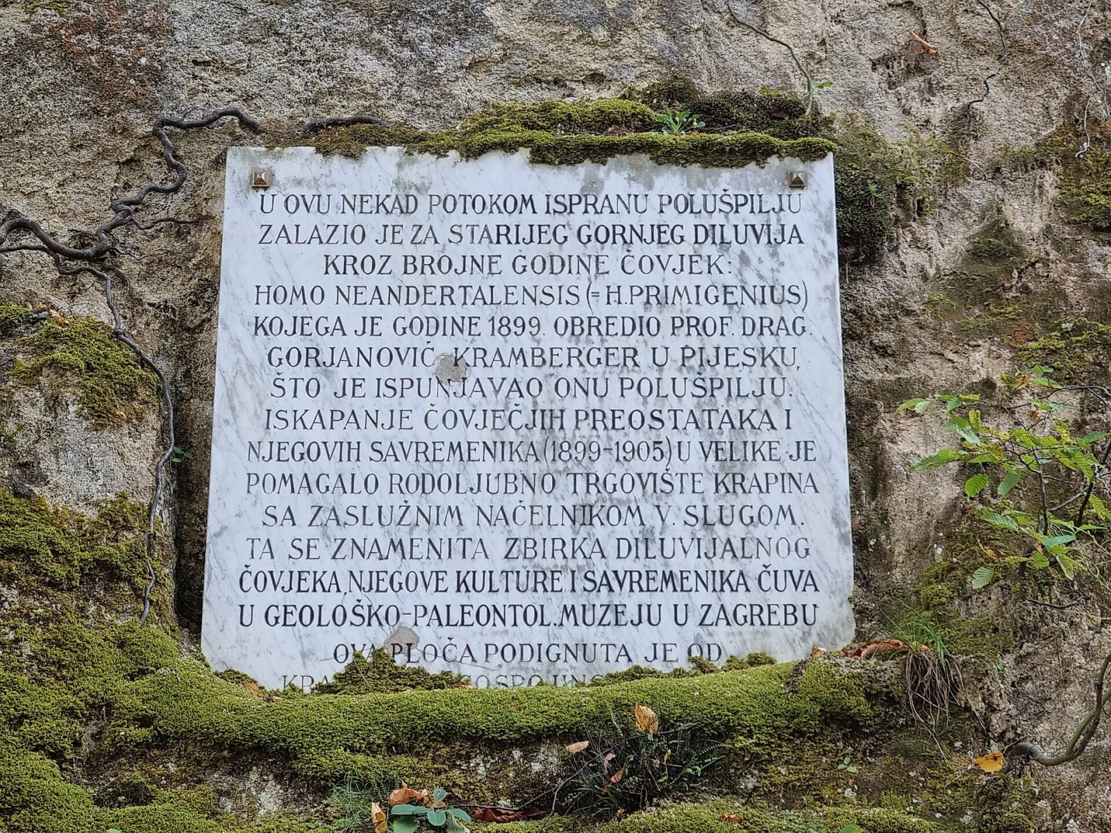 Discover Hušnjakovo: The Neanderthal Archaeological Site in Croatia - Krapina | Secret World Trip Planner