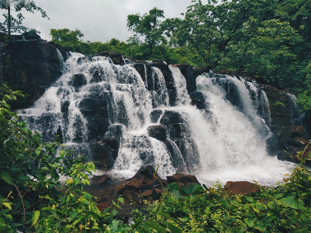 Cascades de Wli : les plus hautes d'Afrique de l'Ouest - Afegame | Secret World Trip Planner