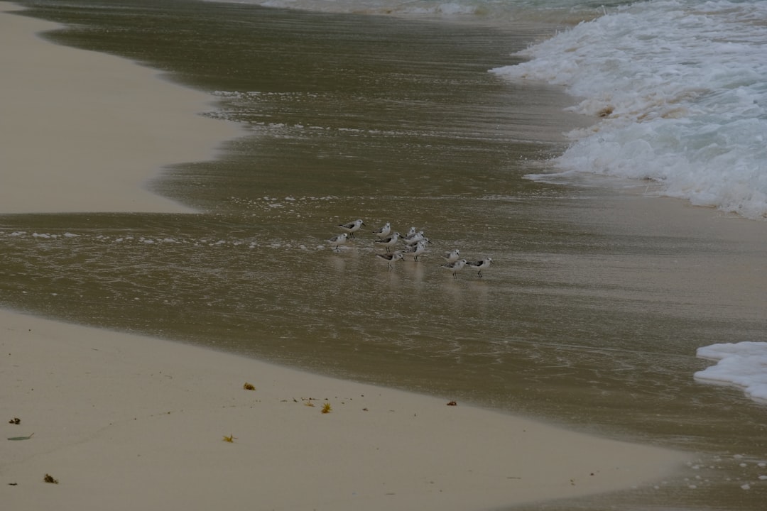 Playa Rincón: a praia selvagem de Las Galeras - Playa Rincon | Secret World Trip Planner