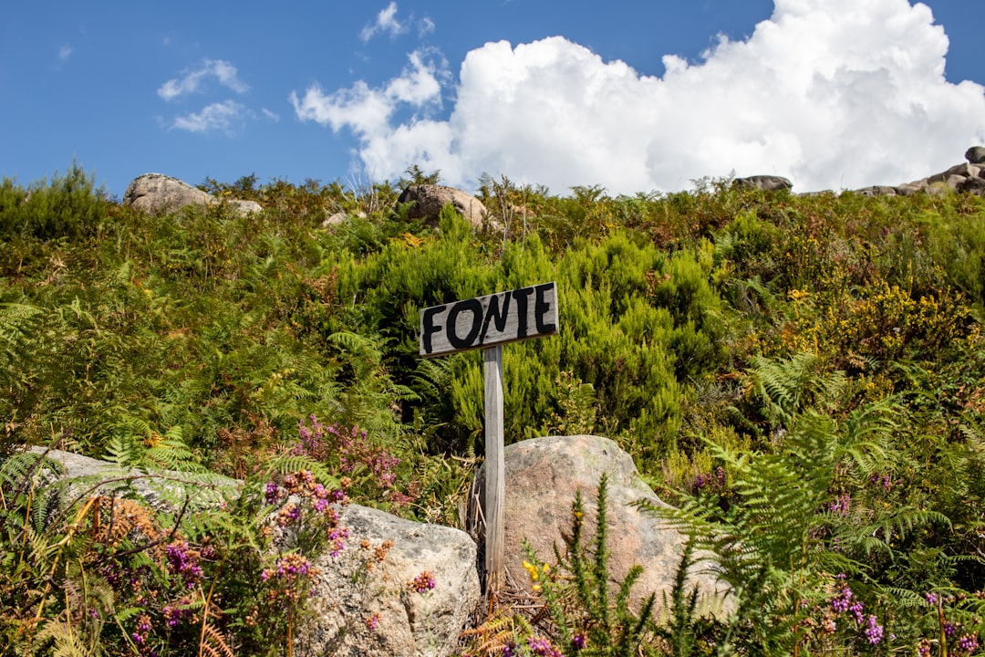포인트 뒤 부트의 등대: 마르티니크의 철과 산호 - Pointe du Bout | Secret World Trip Planner