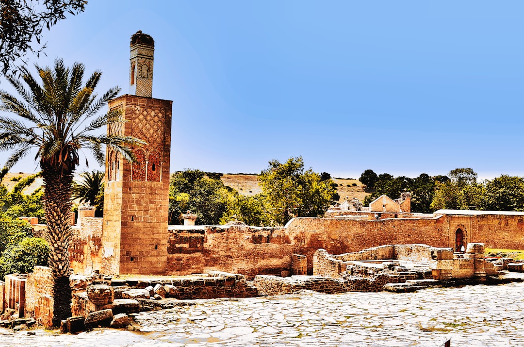 Chellah: Roman Ruins and Storks in Rabat - 254H+HVC | Secret World Trip Planner