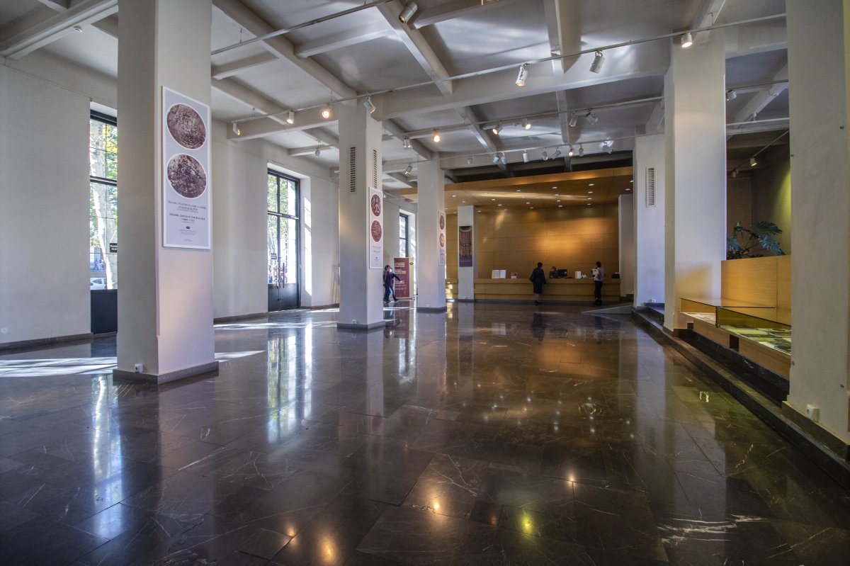 Museu Nacional Georgiano: Tesouros da Colchide em Tbilisi - 3 Shota Rustaveli Ave | Secret World Trip Planner