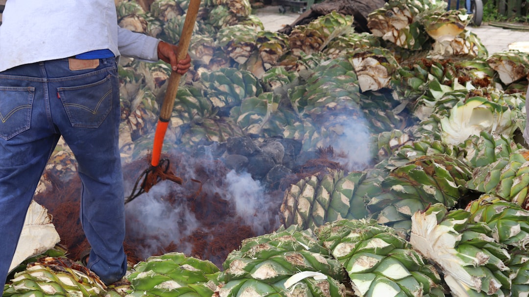 Oaxaca Mezcal Tour: Explore Artisan Distilleries - 68100 Oaxaca de Juárez | Secret World Trip Planner