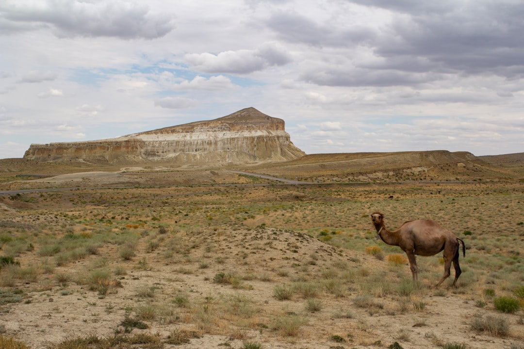 Montagne Aktau : les badlands blancs du Kazakhstan — X6QJ+P6Q