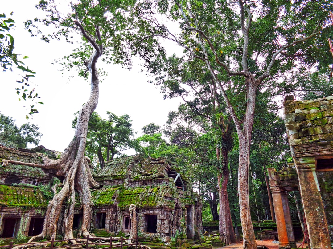 Angkor Wat ao amanhecer: torres na névoa e reflexos - Wat Po | Secret World Trip Planner