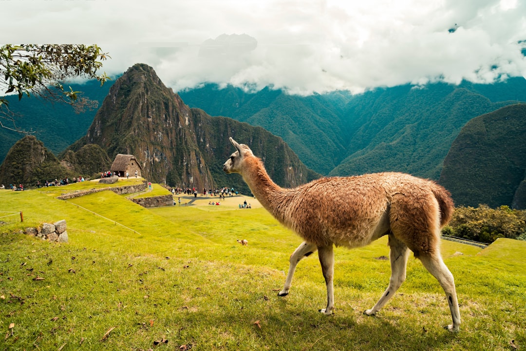 Descubre Nurma: un rincón de naturaleza virgen en Perú | Secret World Trip Planner