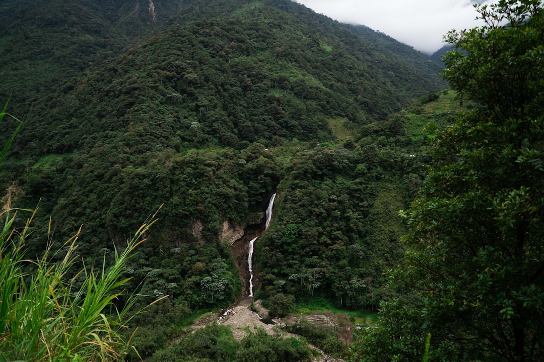 Discover Cerro El Pindo: A Natural Paradise in Ecuador - Las Huacas | Secret World Trip Planner