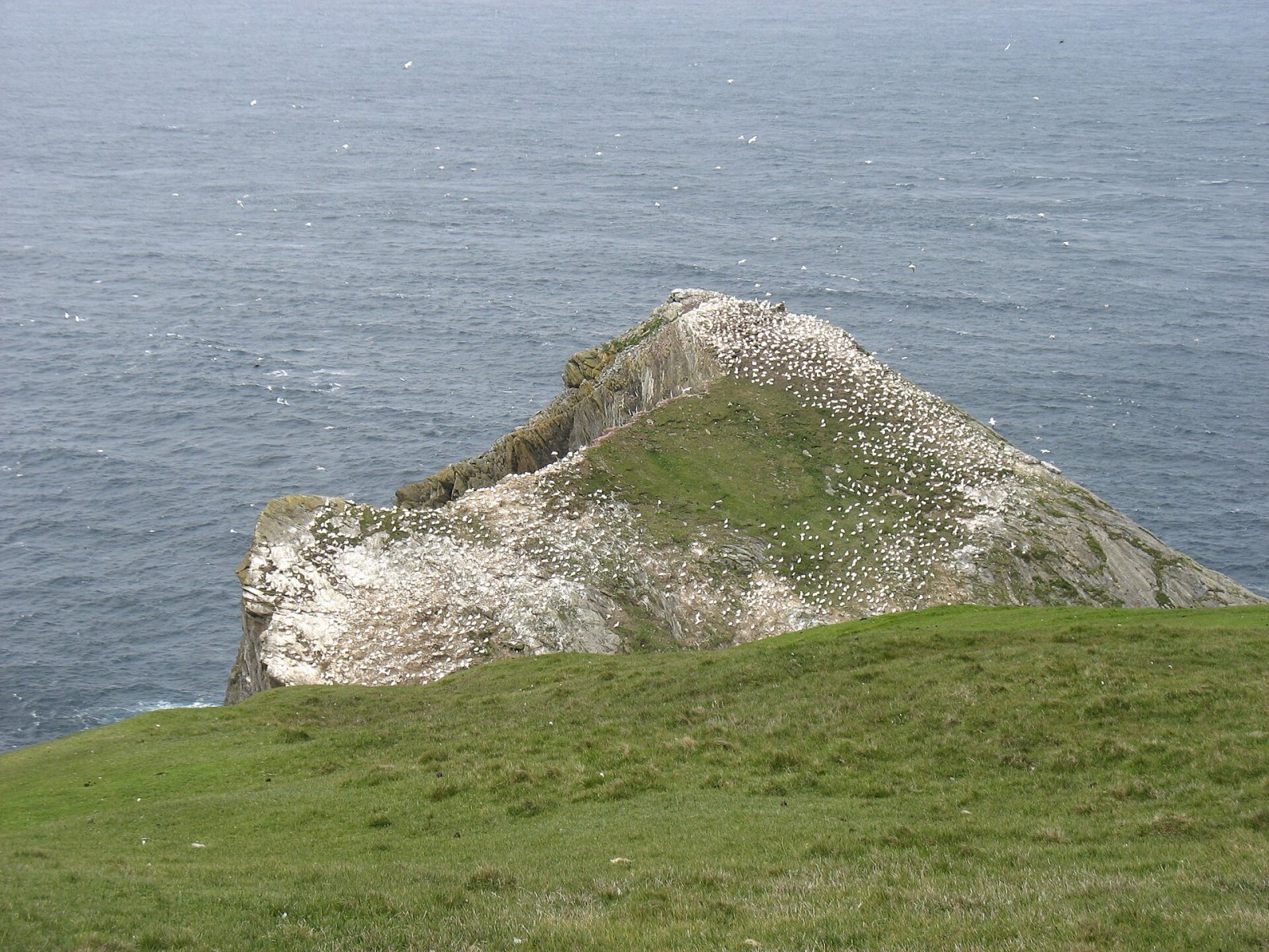 Scopri Hermaness Hill: un angolo di natura in Scozia - Burrafirth | Secret World Trip Planner