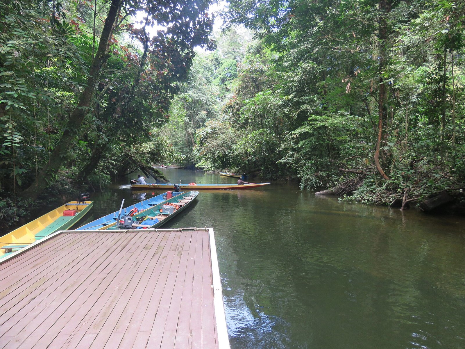 Discover the Magic of Clearwater Cave in Malaysia | Secret World Trip Planner
