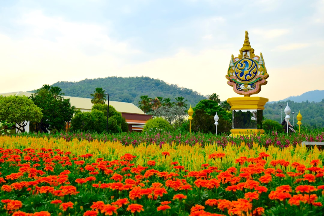 Discover Doi Nang Non: The Sleeping Woman Mountain in Thailand - Mae Sai District | Secret World Trip Planner