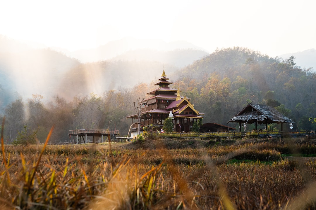 Descubre Doi Tung: la joya oculta de Tailandia — Mae Sai District