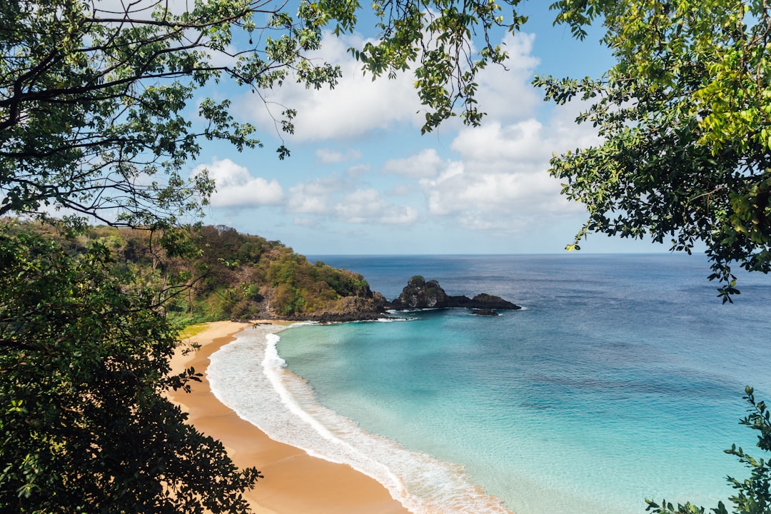 Фернанду-ди-Норонья: вулканический архипелаг Бразилии - Pernambuco | Secret World Trip Planner