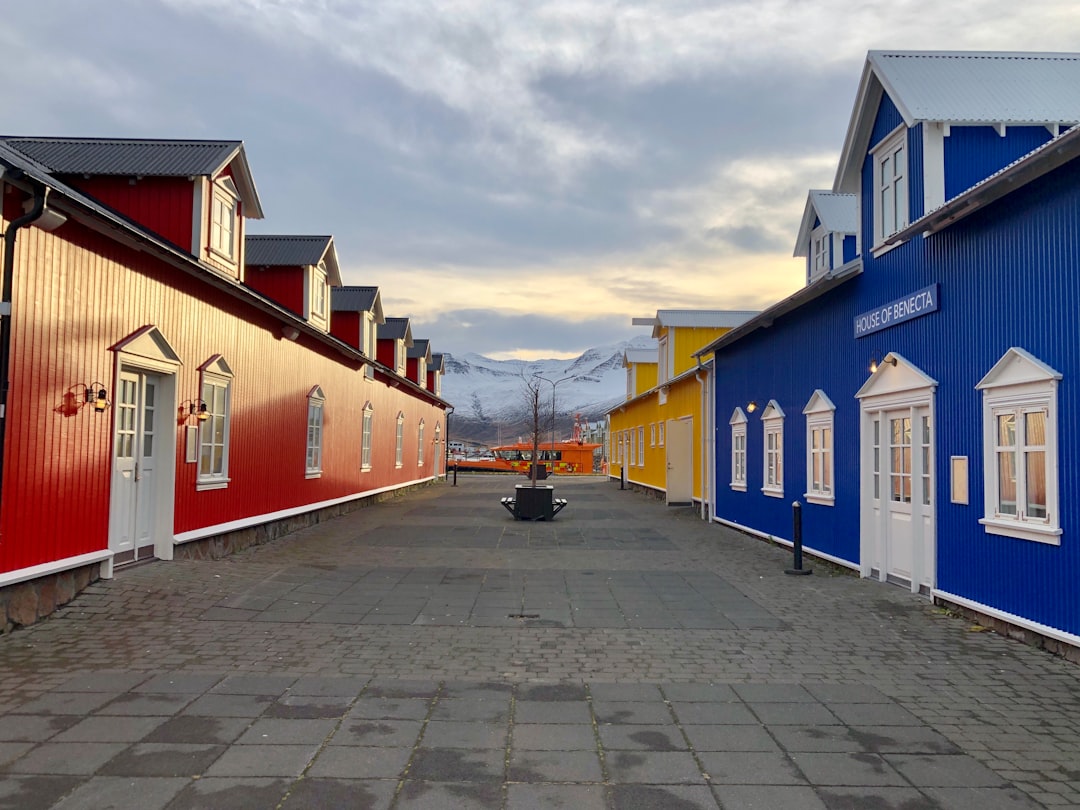 Murais e Arenques em Siglufjörður: Arte no Fiorde - Snorragata 10 | Secret World Trip Planner