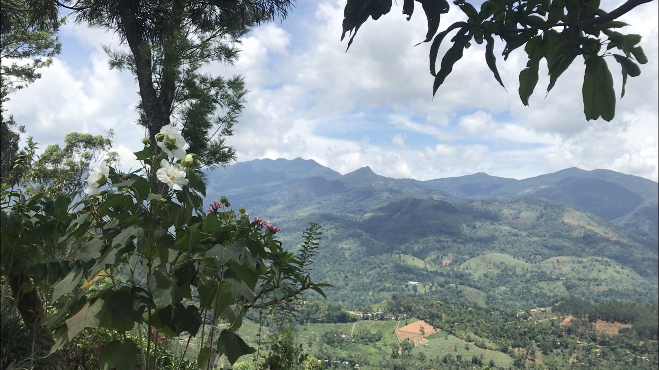 Descubre Knuckles: el paraíso natural de Sri Lanka - Kandy | Secret World Trip Planner