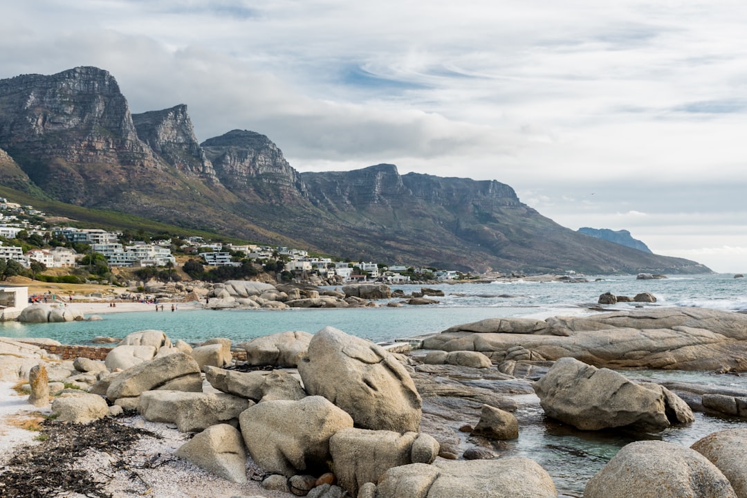 Boulders Beach: los pingüinos africanos de Ciudad del Cabo - Cape Town | Secret World Trip Planner