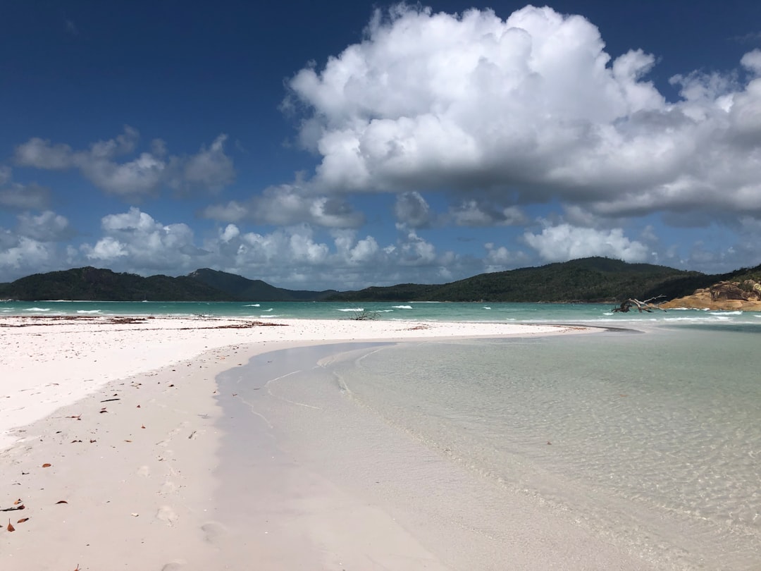 Великий Барьерный риф: погружение среди 1500 видов рыб - Great Barrier Reef Marine Park | Secret World Trip Planner
