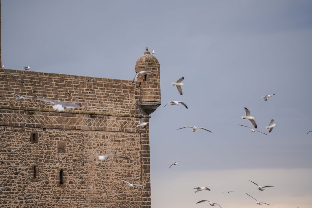 Mercados de Essaouira: madera, viento y especias azules - Medina of Essaouira | Secret World Trip Planner