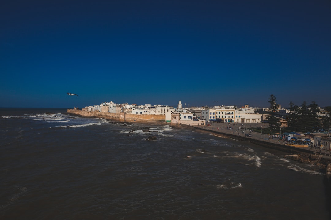 埃萨乌伊拉市场:木材、风与蓝色香料 - Medina of Essaouira | Secret World Trip Planner