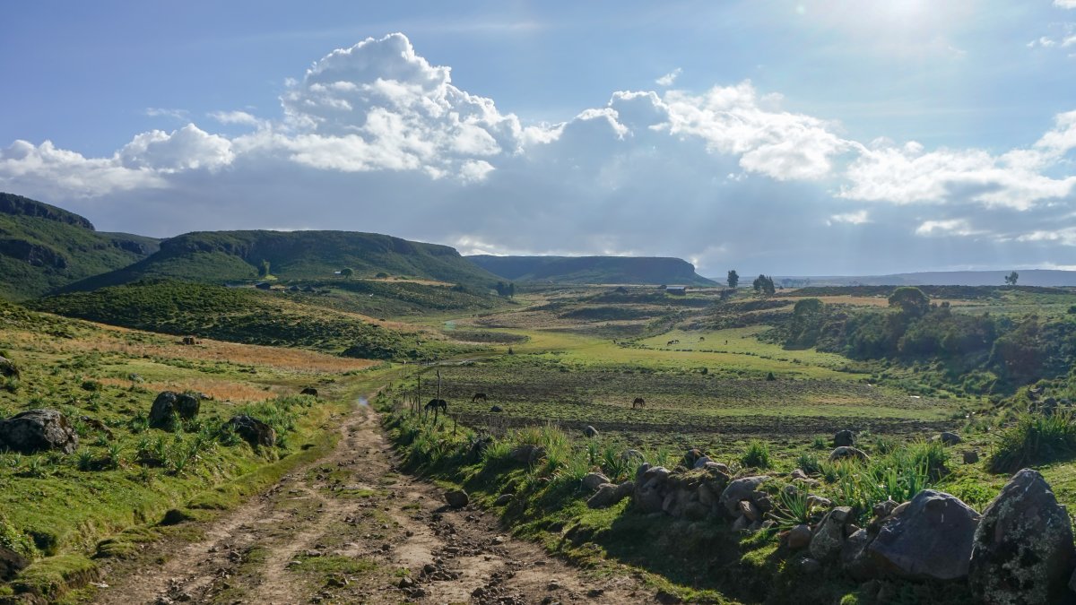 Sanetti Plateau: Wildlife and Nature at Their Best in Ethiopia - VPPM+8PG | Secret World Trip Planner