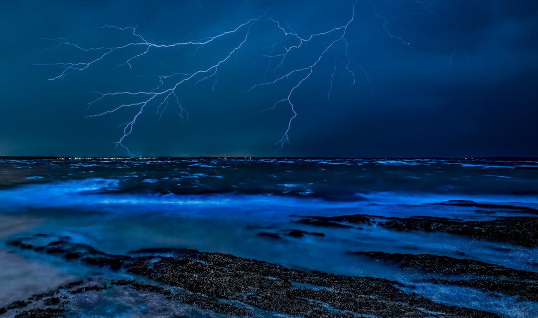 Baia Bioluminescente di Vieques: luce nell'acqua - Vieques 00765 | Secret World Trip Planner