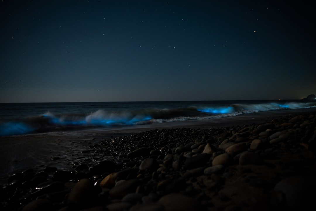 Baia Bioluminescente di Vieques: luce nell'acqua - Vieques 00765 | Secret World Trip Planner