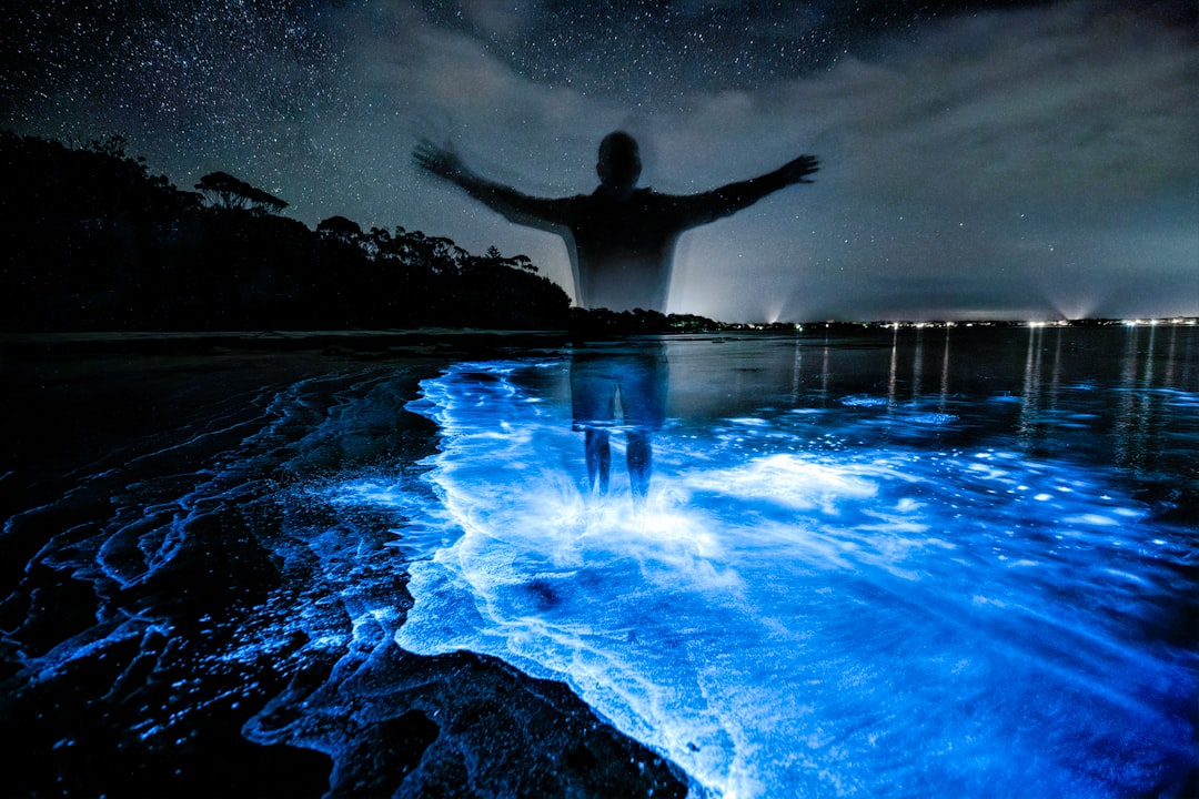 Baie Bioluminescente de Vieques : lumière dans l'eau - Vieques 00765 | Secret World Trip Planner