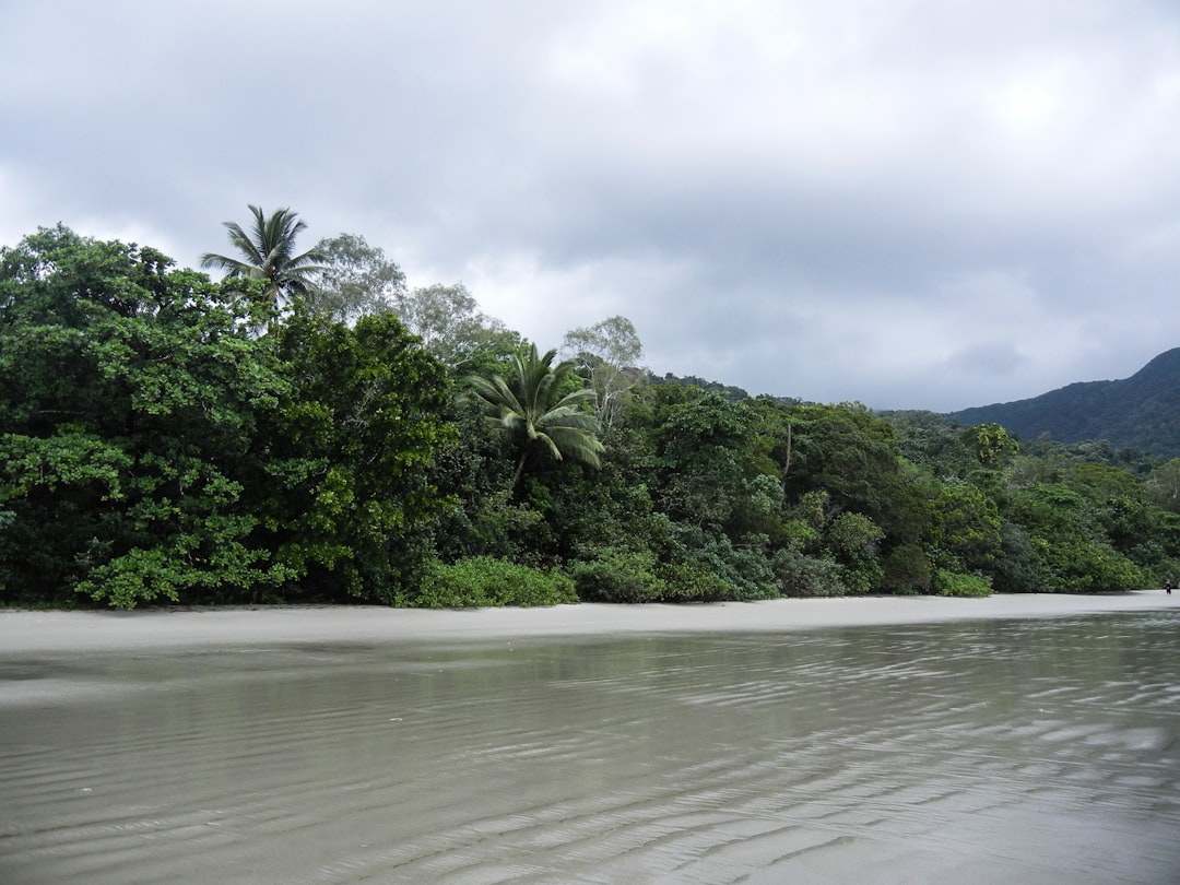 Foresta di Daintree: panorami tra foresta e barriera corallina - 2333 Cape Tribulation Rd | Secret World Trip Planner