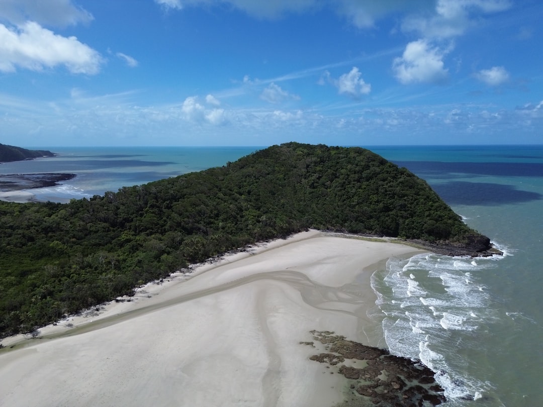 Daintree Forest: Stunning Views of Forest and Reef - 2333 Cape Tribulation Rd | Secret World Trip Planner