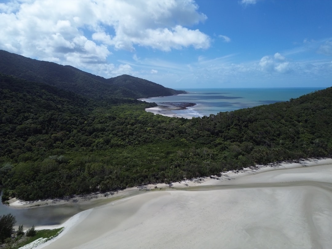 丹特里森林:森林与珊瑚礁的壮丽景观 - 2333 Cape Tribulation Rd | Secret World Trip Planner
