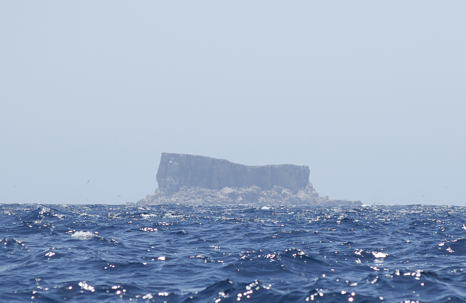 Découvrez Filfla : la gemme naturelle du sud de Malte - Siġġiewi | Secret World Trip Planner