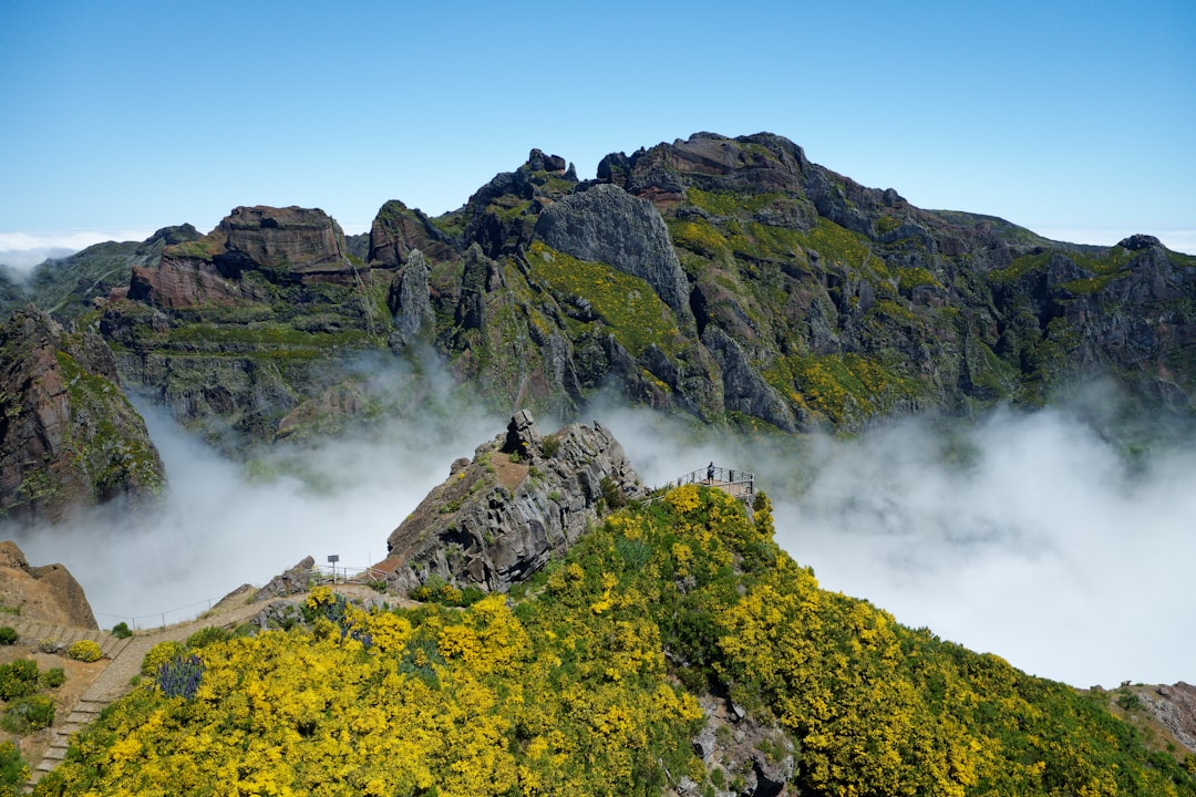 피코 두 포고: 카보 베르데의 활화산 트레킹 - Pico do Fogo | Secret World Trip Planner